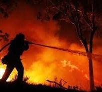 Обучение по тушению лесных пожаров